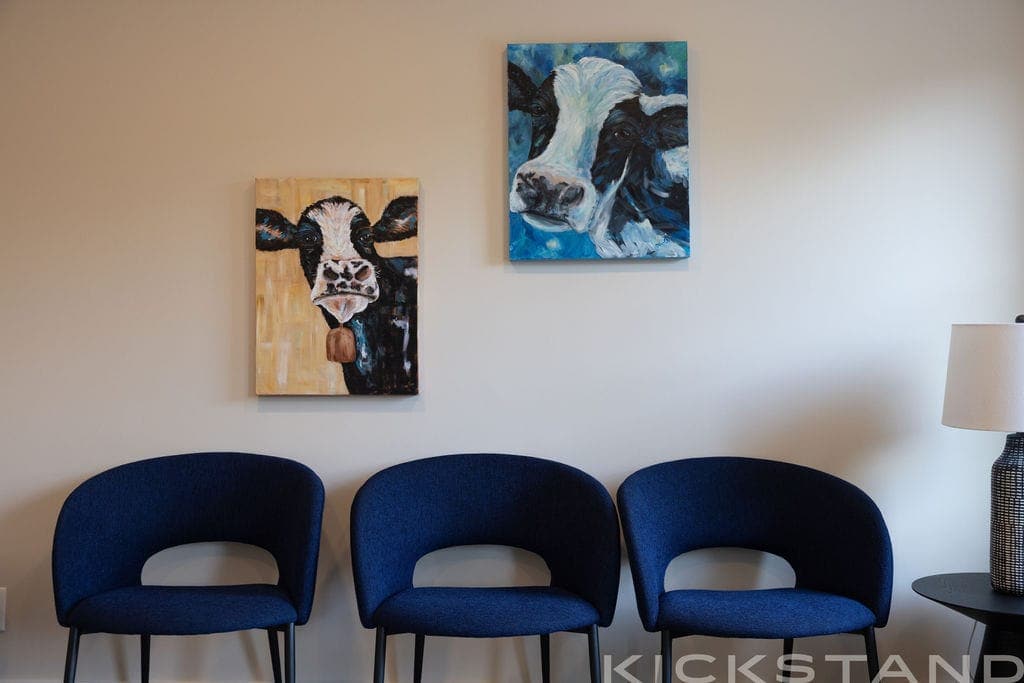 Three navy chairs beneath cow paintings in the Columbia office waiting area
