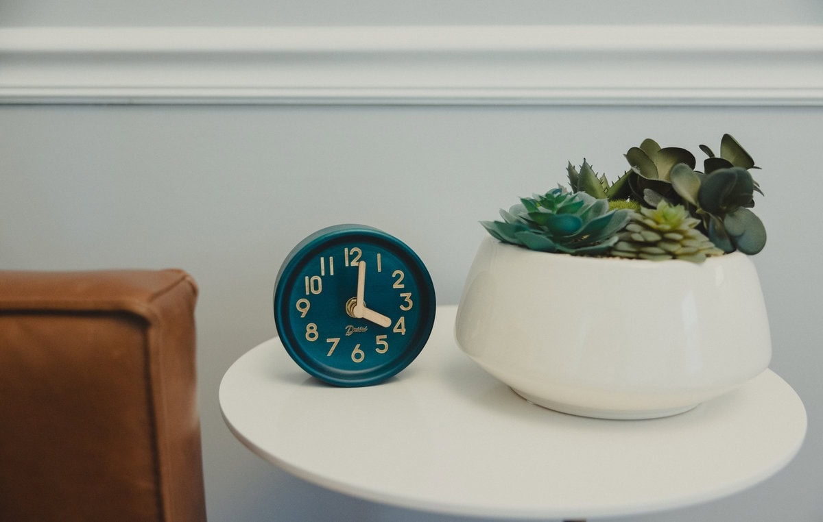 Teal clock and succulents on a side table in the Lexington office